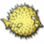 Openbsd fish