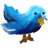Bird twitter animal