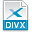 File extension divx