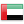 Dubai united arab emirates flag