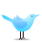 Animal bird standing twitter