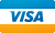 Visa payment credit card