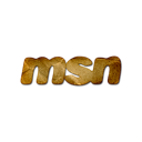Logo msn