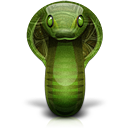 Cobra animal snake