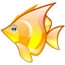 Animal fish