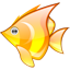 Animal fish