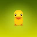 Animal duck twitter