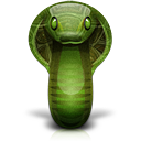 Cobra snake animal