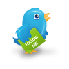 Twitter bird 2