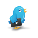 7 bird twitter