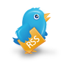 Twitter 1 bird