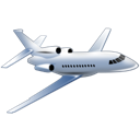 Falcon transportation flight travel plane
