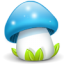 Mushroom blue