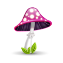 Mushroom pink tag pilz