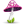 Mushroom pink tag pilz