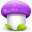 Purple mushroom