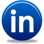 Business wordpress network social linkedin