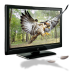 Eagle 3d