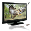 Eagle 3d