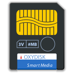Smart flash media devices