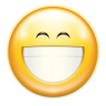 Emotes face smile big