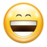 Emotes face laugh