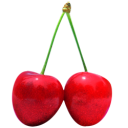 Cherry fruit sweet red