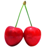 Cherry fruit sweet red
