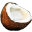 Coconut fruit tropical food