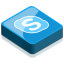 Skype social logo