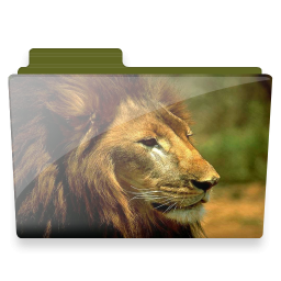 Folder lion