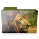 Folder lion