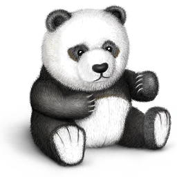 Toy bear teddy panda