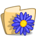 Folder flower blue