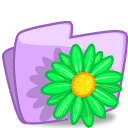 Folder flower green