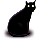 Black cat pet animal