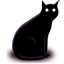Black cat pet animal