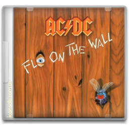 Acdc fly wall