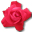Love birthday flower valentine cerise rose