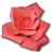 Love birthday flower valentine coral rose