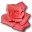 Love birthday flower valentine coral rose