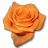 Birthday flower love valentine orange rose
