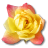 Birthday flower love valentine yellow rose