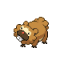 Bidoof