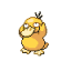 Psyduck