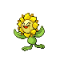 Sunflora