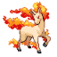 Rapidash