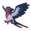 Swellow