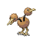 Doduo