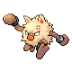 Primeape